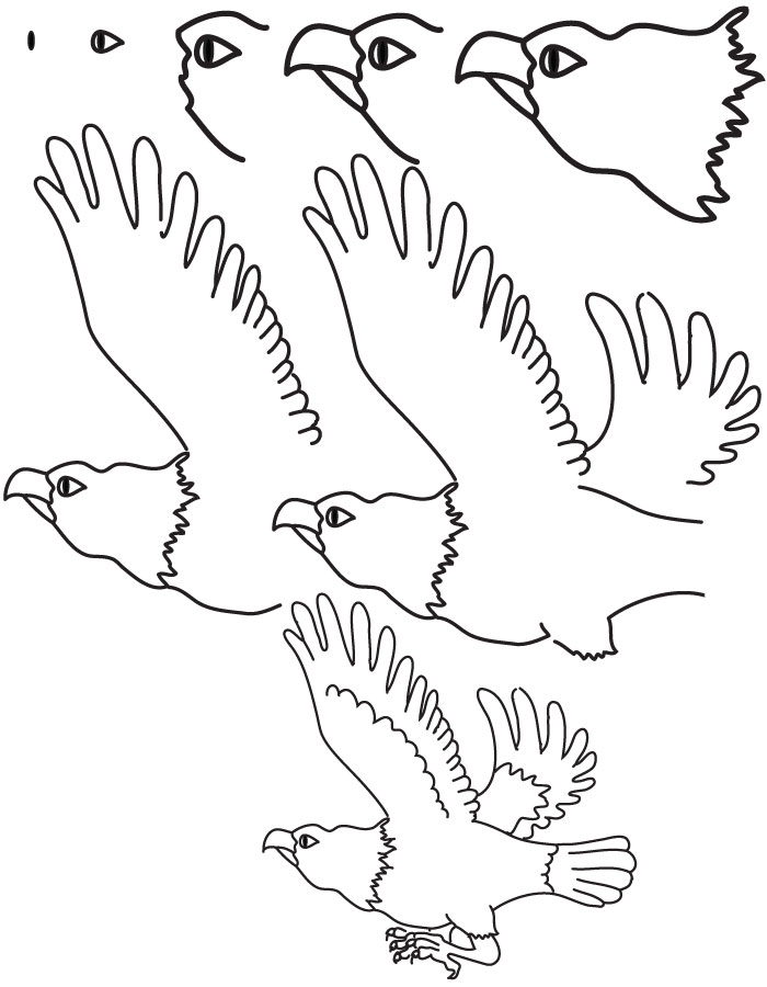 Cómo dibujar un Águila para niños - Imagui